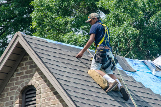 Best Metal Roofing Contractor  in Marbleton, WY